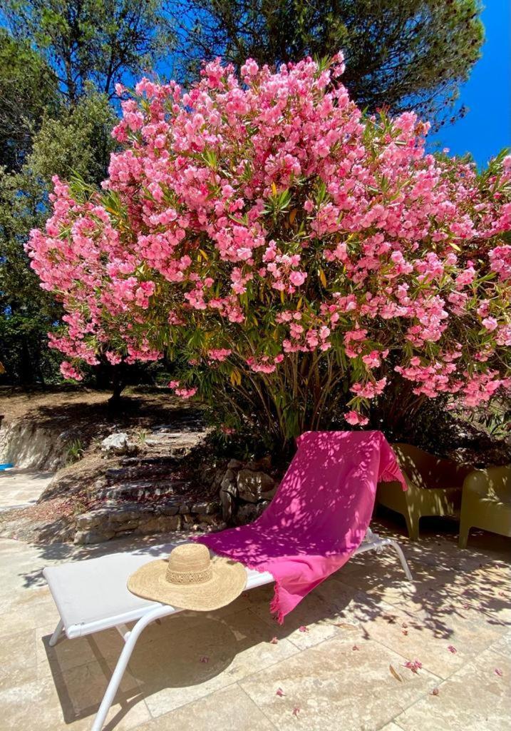 לורג La Bastide Blanche Magnifique Villa 5 Etoiles 5 Chambres Et Piscine Privee Sur 6500 M Var מראה חיצוני תמונה
